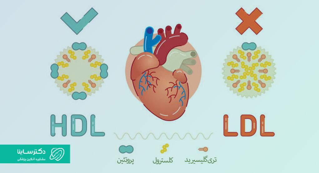 مقایسه کلسترول خوب و کلسترول بد