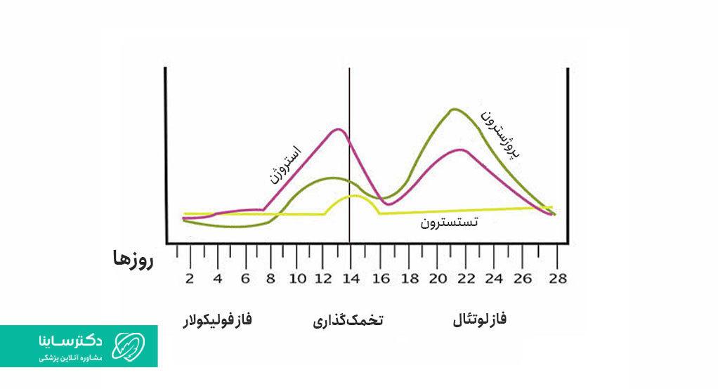 ترشحلا آبکی واژن در چرخه قاعدگی ۲۸ روزه طبیعی است.