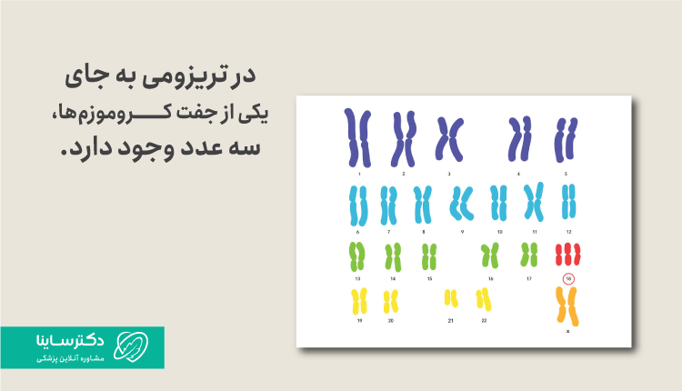 تریزومی چیست؟