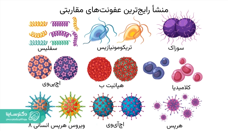 منشا رایجترین عفونتهای مقاربتی