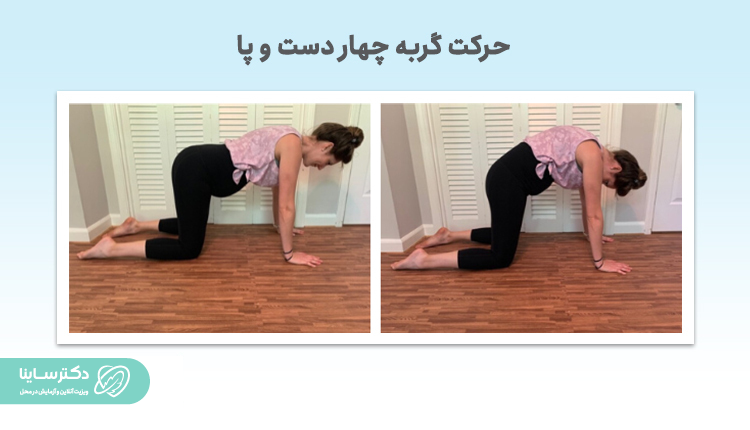 حرکت گربه چهار دست و پا برای درمان کمردرد در بارداری