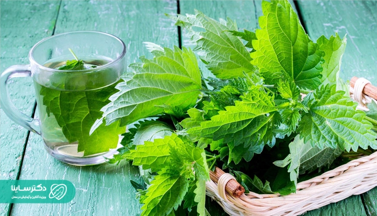 منوش گزنه بهترین دمنوش برای یائسگی