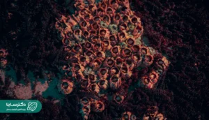 Natural sea coral formation with clustered tube-like holes – one of the natural triggers of What is trypophobia.