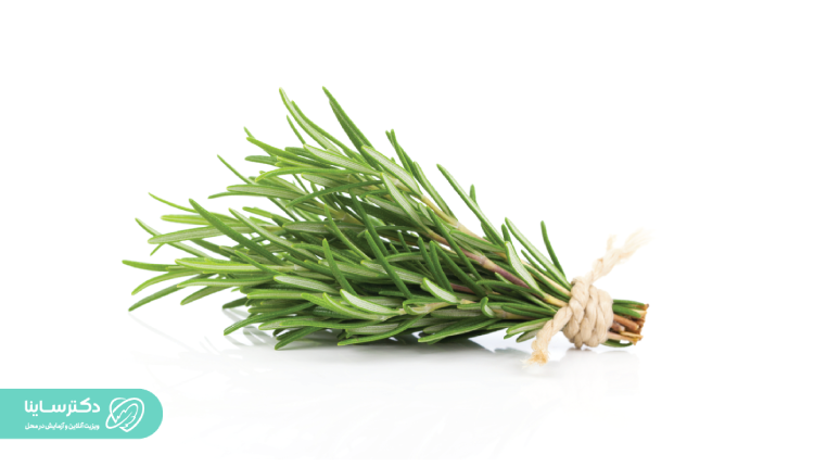 تاثیر رزماری بر سلامت روان