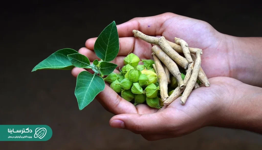 گیاه آشواگاندا